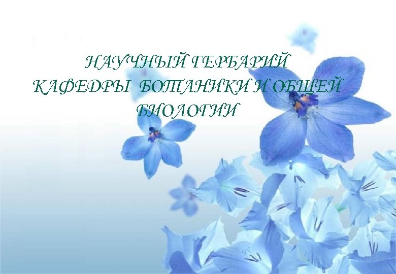 НАУЧНЫЙ ГЕРБАРИЙ КАФЕДРЫ БОТАНИКИ И ОБЩЕЙ БИОЛОГИИ 