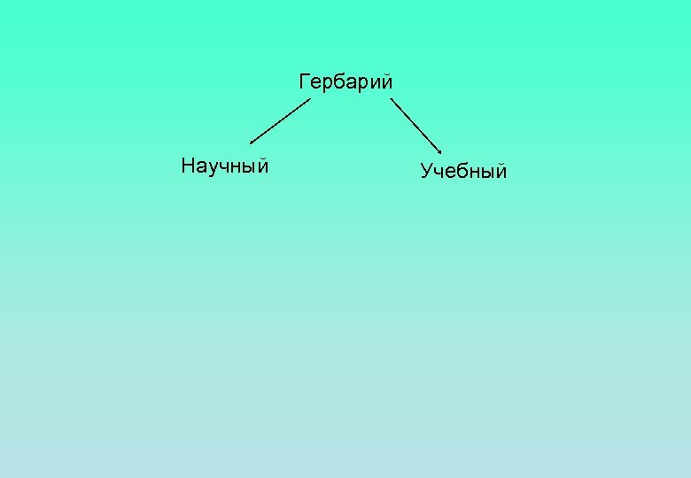 Гербарий Научный Учебный 