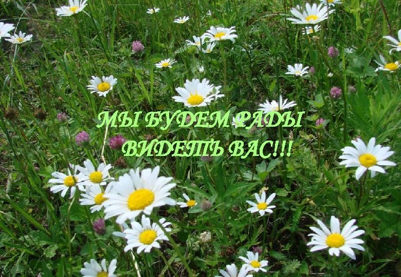 МЫ БУДЕМ РАДЫ ВИДЕТЬ ВАС!!! 