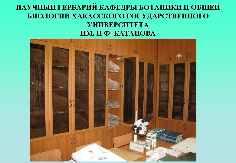 НАУЧНЫЙ ГЕРБАРИЙ КАФЕДРЫ БОТАНИКИ И ОБЩЕЙ БИОЛОГИИ ХАКАССКОГО ГОСУДАРСТВЕННОГО УНИВЕРСИТЕТА ИМ. Н. Ф. КАТАНОВА