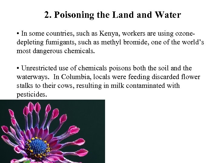 2. Poisoning the Land Water • In some countries, such as Kenya, workers are