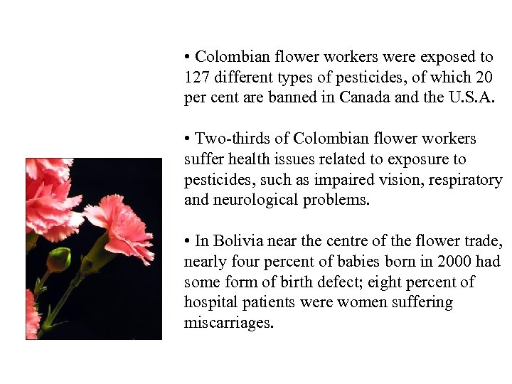  • Colombian flower workers were exposed to 127 different types of pesticides, of