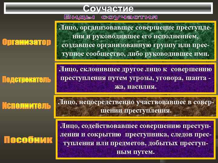 Соучастие Лицо, организовавшее совершение преступления и руководившее его исполнением, создавшее организованную группу или преступное