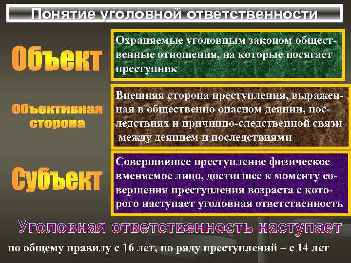 Понятие уголовной ответственности Охраняемые уголовным законом общественные отношения, на которые посягает преступник Внешняя сторона