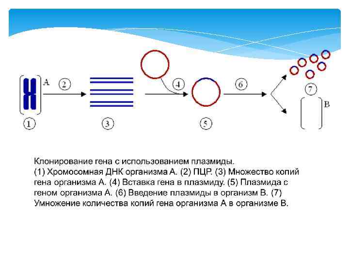 Цепная реакция машины