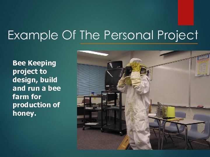 Example Of The Personal Project Bee Keeping project to design, build and run a