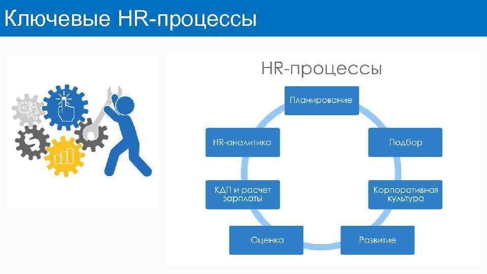 Ключевые HR-процессы 