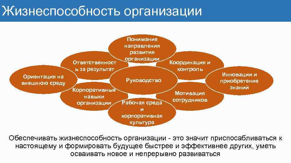 Жизнеспособность организации Ответственност ь за результат Ориентация на внешнюю среду Понимание направления развития организации