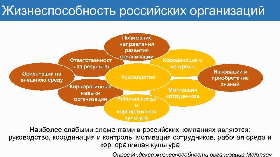 Жизнеспособность российских организаций Ответственност ь за результат Ориентация на внешнюю среду Понимание направления развития