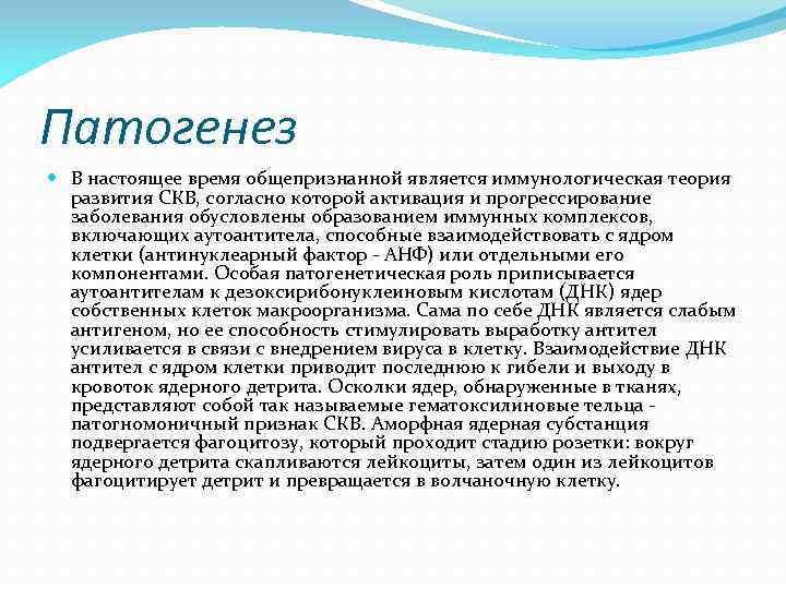 Патогенез В настоящее время общепризнанной является иммунологическая теория развития СКВ, согласно которой активация и