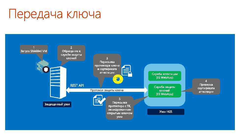 Протокол защиты индивидуальных проектов в 11 классе