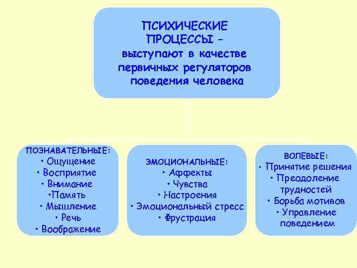 ПСИХИЧЕСКИЕ ПРОЦЕССЫ – выступают в качестве первичных регуляторов поведения человека ПОЗНАВАТЕЛЬНЫЕ: • Ощущение •