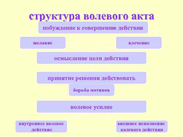 структура волевого акта побуждение к совершению действия желание влечение осмысление цели действия принятие решения