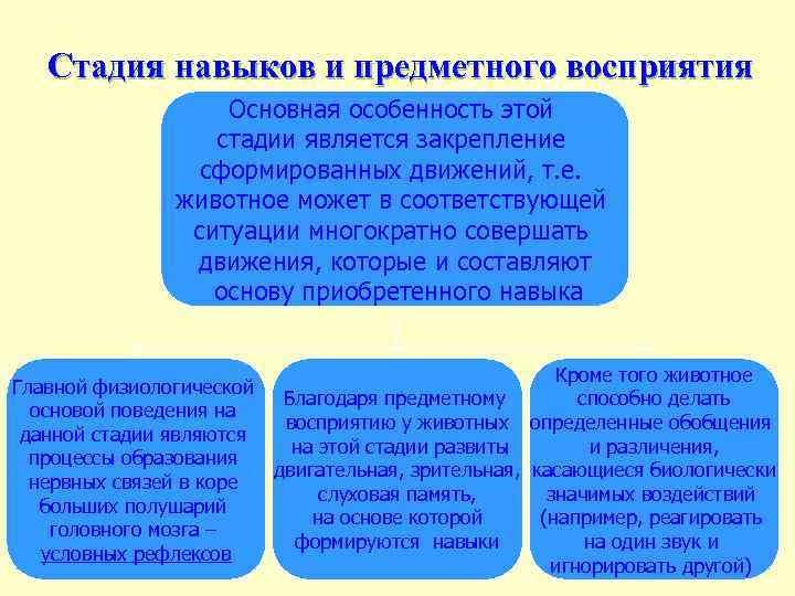 Стадия навыков и предметного восприятия Основная особенность этой стадии является закрепление сформированных движений, т.