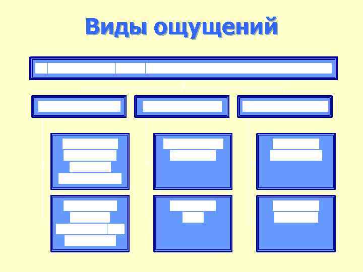 Виды ощущений 