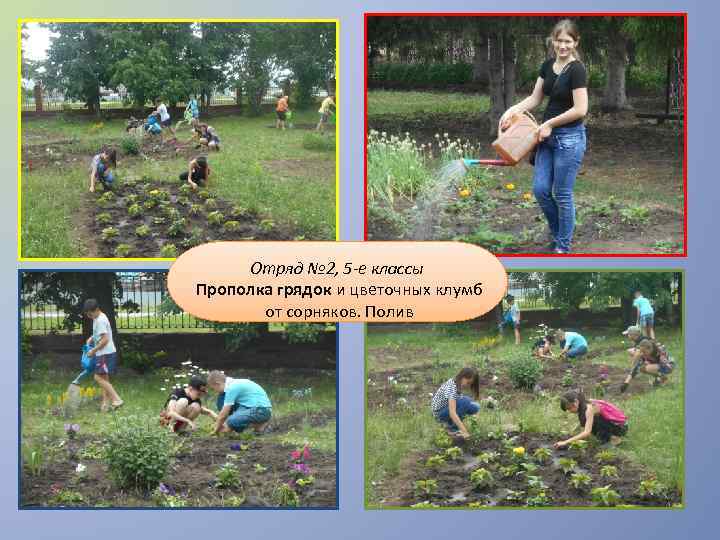 Отряд № 2, 5 -е классы Прополка грядок и цветочных клумб от сорняков. Полив