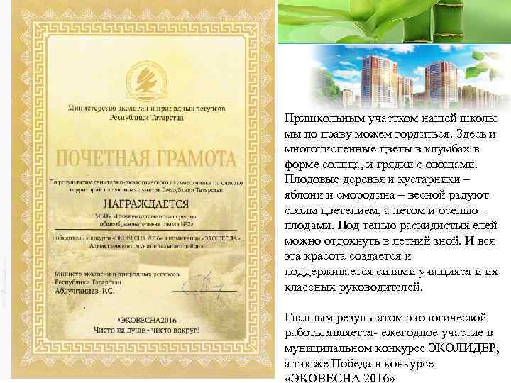 Пришкольным участком нашей школы мы по праву можем гордиться. Здесь и многочисленные цветы в