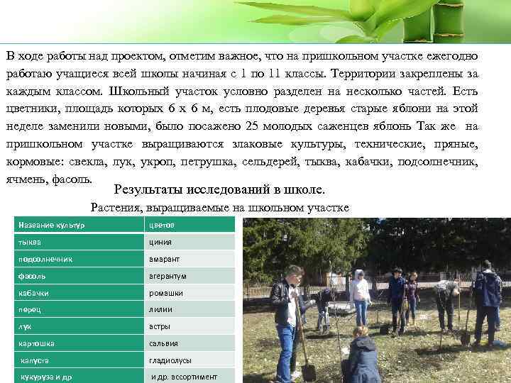 В ходе работы над проектом, отметим важное, что на пришкольном участке ежегодно работаю учащиеся