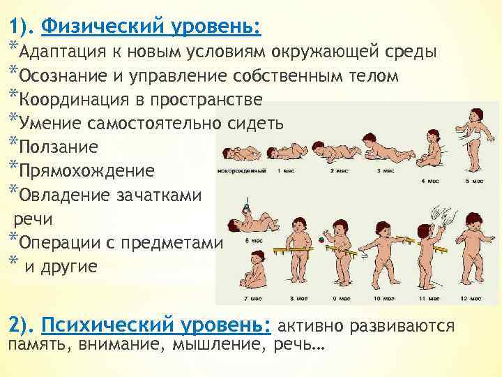1). Физический уровень: *Адаптация к новым условиям окружающей среды *Осознание и управление собственным телом