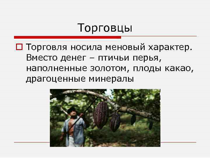 Торговцы o Торговля носила меновый характер. Вместо денег – птичьи перья, наполненные золотом, плоды