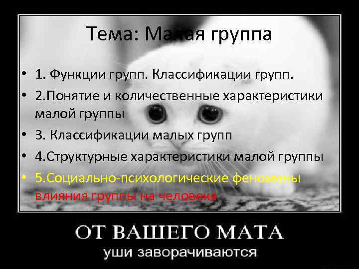 Тема: Малая группа • 1. Функции групп. Классификации групп. • 2. Понятие и количественные