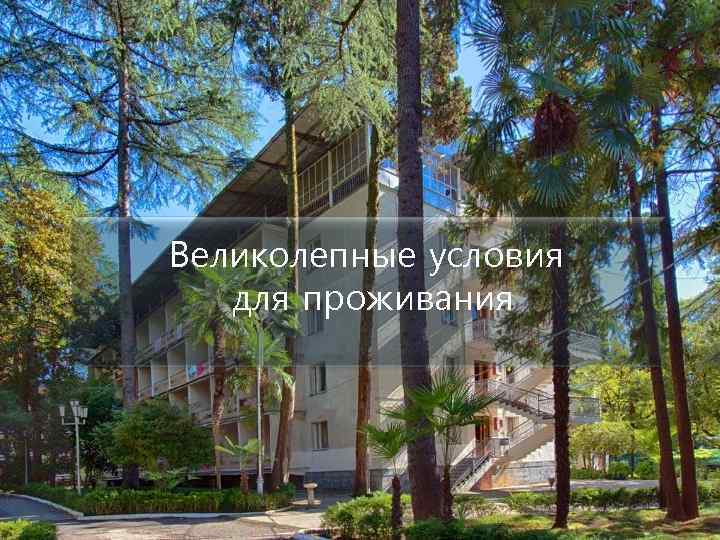 Великолепные условия для проживания 