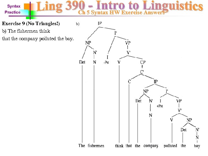 Syntax Practice Exercise 9 (No Triangles!) b) The fishermen think that the company polluted