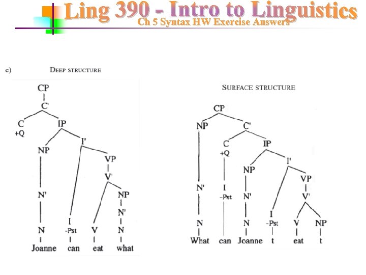 Ch 5 Syntax HW Exercise Answers 