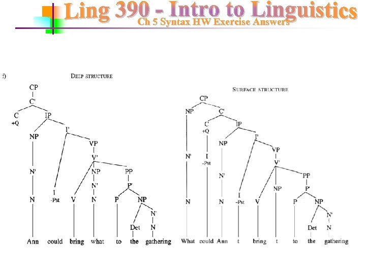Ch 5 Syntax HW Exercise Answers 