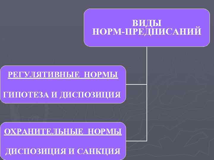 ВИДЫ НОРМ-ПРЕДПИСАНИЙ РЕГУЛЯТИВНЫЕ НОРМЫ ГИПОТЕЗА И ДИСПОЗИЦИЯ ОХРАНИТЕЛЬНЫЕ НОРМЫ ДИСПОЗИЦИЯ И САНКЦИЯ 