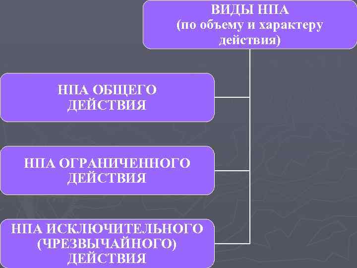 ВИДЫ НПА (по объему и характеру действия) НПА ОБЩЕГО ДЕЙСТВИЯ НПА ОГРАНИЧЕННОГО ДЕЙСТВИЯ НПА