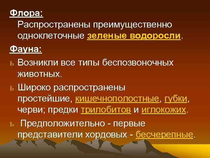 Флора: Распространены преимущественно одноклеточные зеленые водоросли. Фауна: ь Возникли все типы беспозвоночных животных. ь