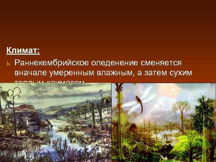 Климат: ь Раннекембрийское оледенение сменяется вначале умеренным влажным, а затем сухим теплым климатом. ь
