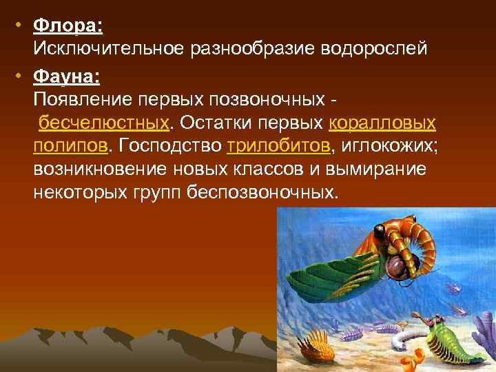  • Флора: Исключительное разнообразие водорослей • Фауна: Появление первых позвоночных бесчелюстных. Остатки первых