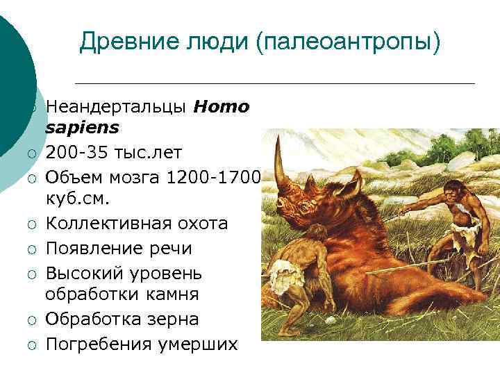 Древние люди (палеоантропы) ¡ ¡ ¡ ¡ Неандертальцы Homo sapiens 200 -35 тыс. лет