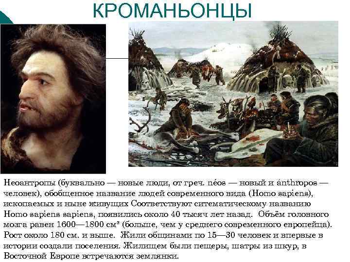 КРОМАНЬОНЦЫ Неоантропы (буквально — новые люди, от греч. néos — новый и ánthropos —