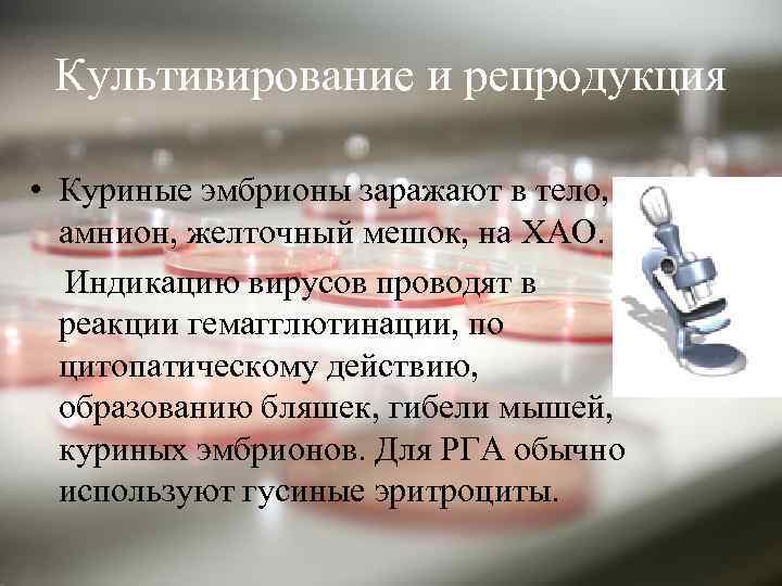 Культивирование и репродукция • Куриные эмбрионы заражают в тело, амнион, желточный мешок, на ХАО.