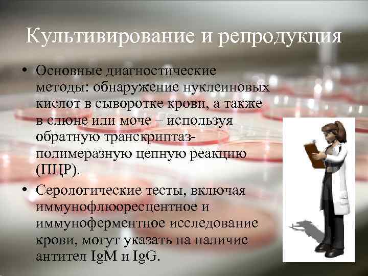 Культивирование и репродукция • Основные диагностические методы: обнаружение нуклеиновых кислот в сыворотке крови, а