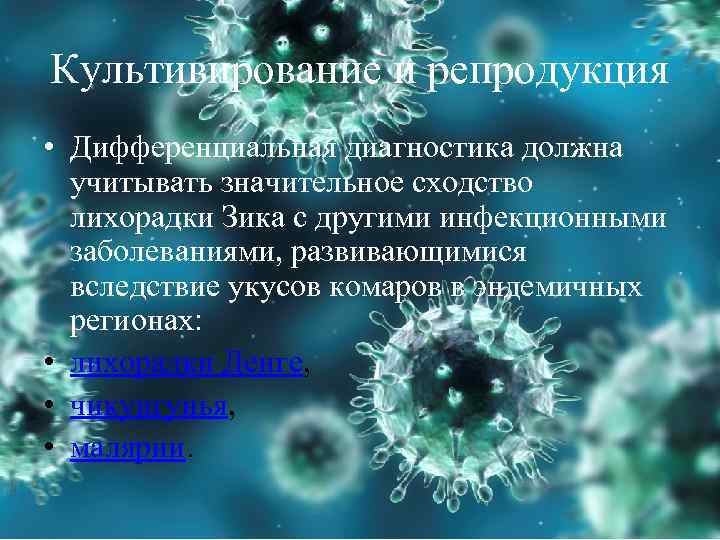 Культивирование и репродукция • Дифференциальная диагностика должна учитывать значительное сходство лихорадки Зика с другими