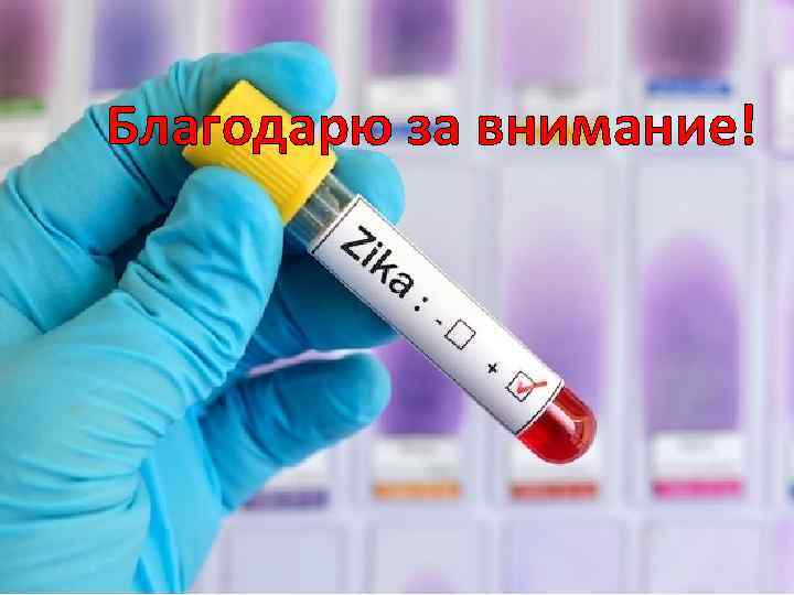 Благодарю за внимание! 