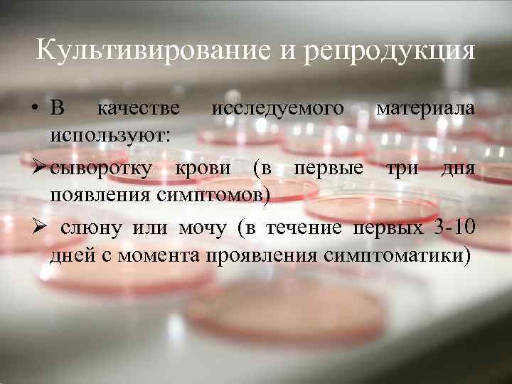 Культивирование и репродукция • В качестве исследуемого материала используют: Ø сыворотку крови (в первые