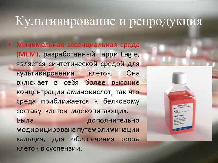 Культивирование и репродукция • Минимальная эссенциальная среда (МЕМ), разработанный Гарри Eagle, является синтетической средой