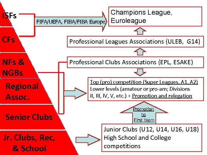 ISFs FIFA/UEFA, FIBA/FIBA Europe CFs NFs & NGBs Regional Assoc. Senior Clubs Jr. Clubs,