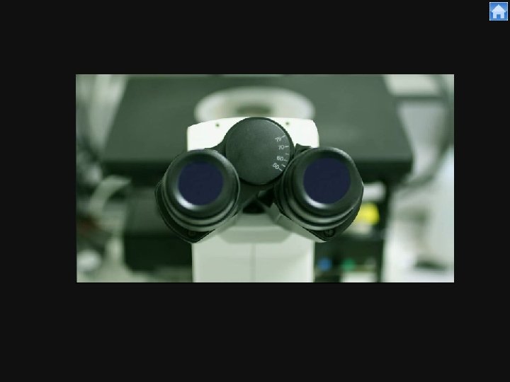 4 3/19/2018 | Life Technologies™ 