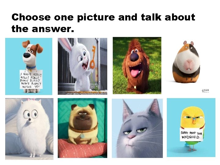 Choose one picture and talk about the answer. 