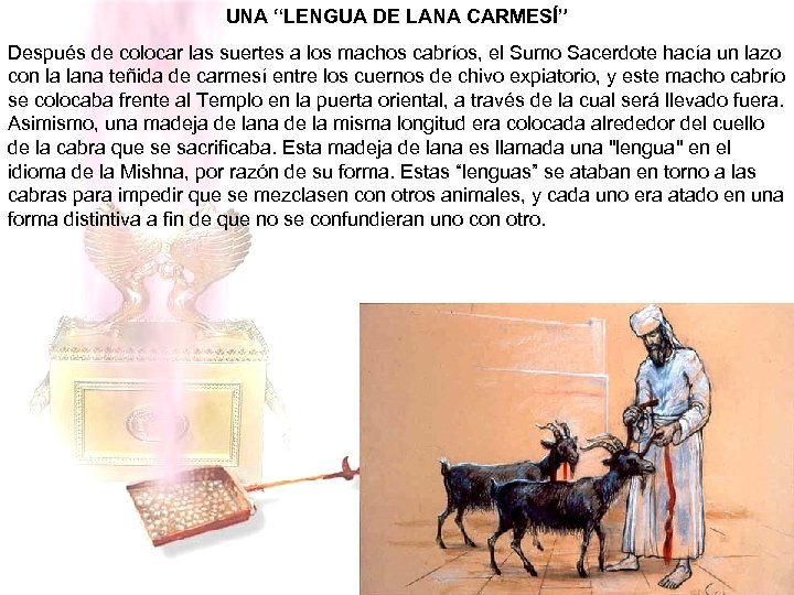 UNA “LENGUA DE LANA CARMESÍ” Después de colocar las suertes a los machos cabríos,