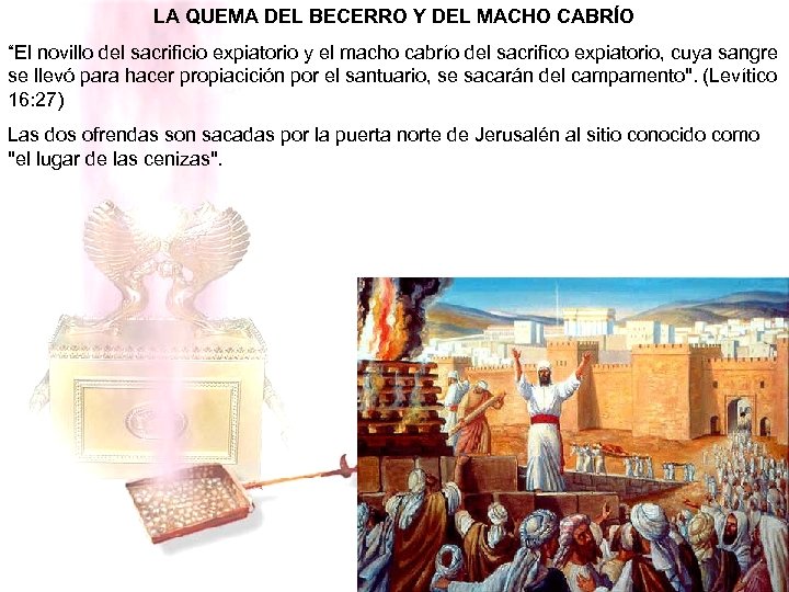 LA QUEMA DEL BECERRO Y DEL MACHO CABRÍO “El novillo del sacrificio expiatorio y