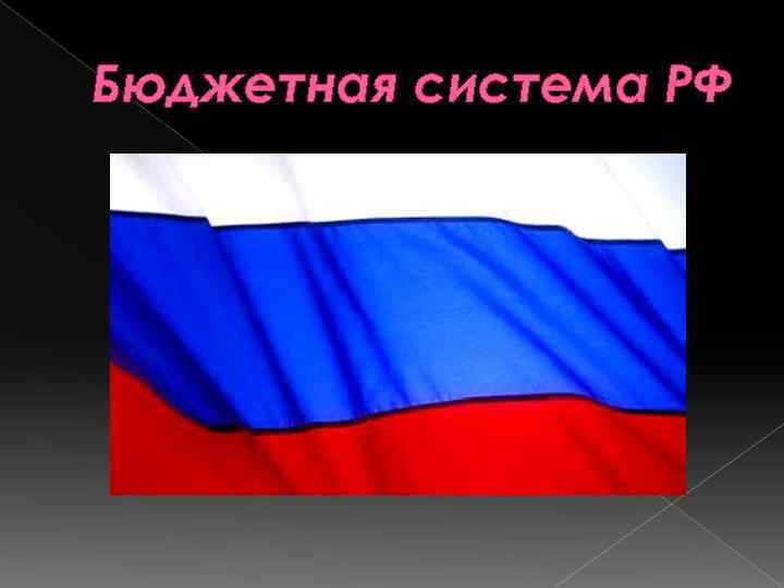 Бюджетная система РФ 