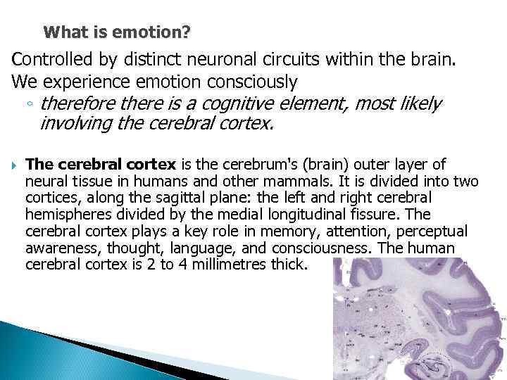 What is emotion? Controlled by distinct neuronal circuits within the brain. We experience emotion