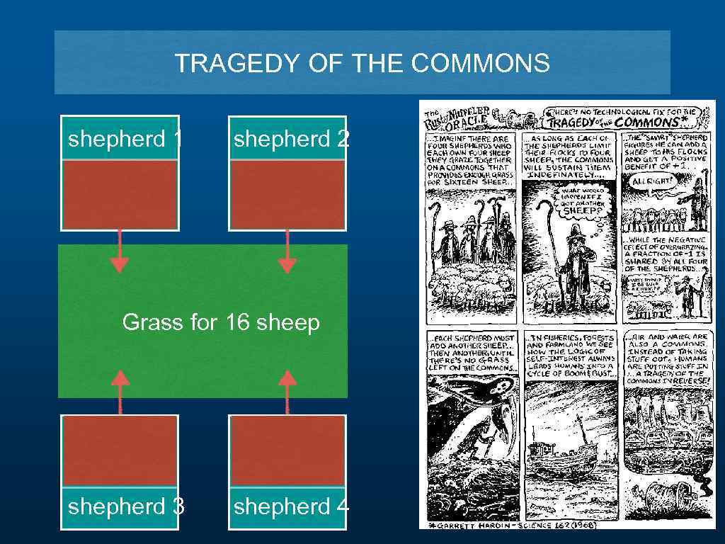 TRAGEDY OF THE COMMONS shepherd 1 shepherd 2 Grass for 16 sheep shepherd 3